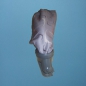 Preview: Original Kirby ** Outer Bag & Snap Mini Emtor Assembly **