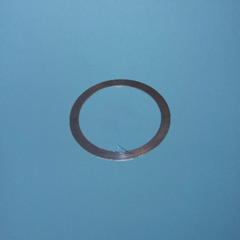 Original Kirby ** Belt Lifter Flat Washer **
